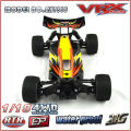 Mini RC Racing Buggy Model Car